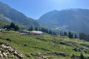 Torna il Giro delle Malghe, trekking leggero tra natura e prodotti tipici