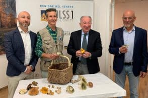 Funghi sì, ma solo in sicurezza: torna lo sportello micologico dell’Ulss