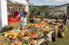 Torna “Orti in Piazza”: tradizioni, cultura e gastronomia locale