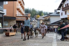 Tradizione e prodotti tipici trainano il turismo: in migliaia alle fiere di Limana e Arsiè