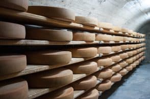 Mangia formaggio trentino e rimane intossicata, bambina di Cortina all’ospedale