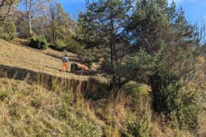 Bando sfalcio prati, 252 le domande pervenute
