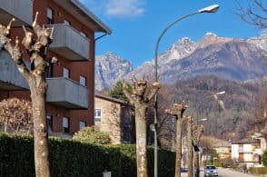 Petizione popolare per il verde urbano: raggiunte mille firme