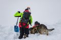 I cani da soccorso in valanga addestrati sulle nevi di Cortina