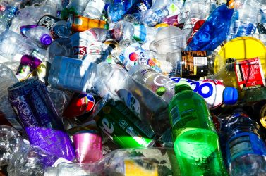 Volontari a caccia di rifiuti: Plastic free ripulisce il Nevegal