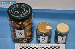 Coltivava funghi allucinogeni, indagato un arsedese