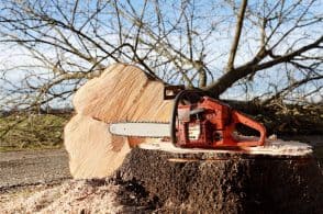 Incidente mortale nel bosco, la Flai Cgil: «Servono maggiori controlli nei cantieri»