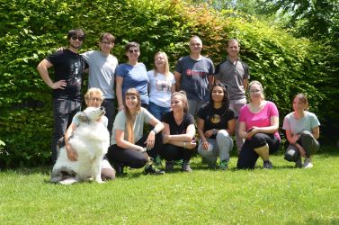 Dipendenti Epta al servizio degli animali: una giornata di solidarietà al rifugio