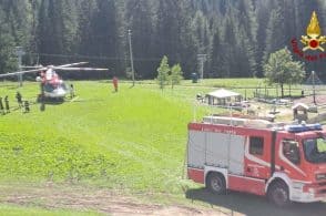 Bovino in difficoltà salvato dai Vigili del Fuoco a Selva di Cadore