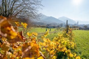 Rasai capitale della corsa campestre: 470 atleti in gara sotto il sole