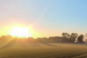 “Amati”, il libro che racconta i Banchi di Solidarietà: presentazione al Giovanni XXIII