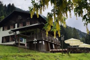 Adattamento climatico: oltre 1 milione di euro al Parco delle Dolomiti