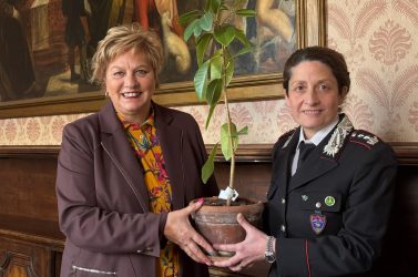 Donata al Comune di Belluno una talea dell’Albero di Falcone