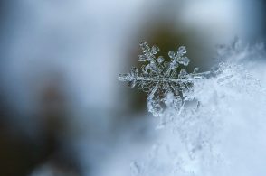 Le Dolomiti si svegliano imbiancate: neve fresca fino a 25 cm