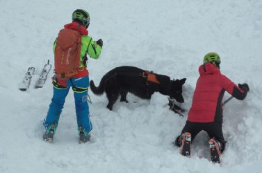 Soccorso alpino, dieci nuove unità cinofile da valanga