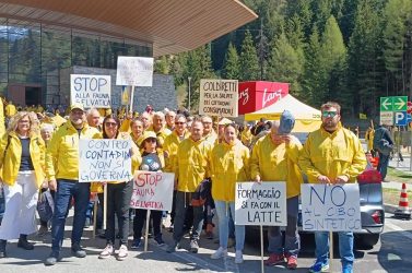Agricoltori bellunesi al Brennero: “Serve chiarezza sul Made in Italy”
