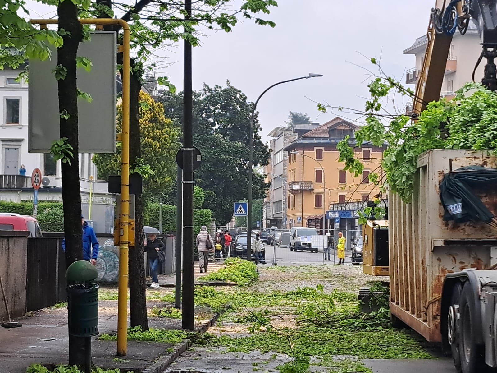 https://www.newsinquota.it/wp-content/uploads/2026/04/tigli-via-Feltre.jpg