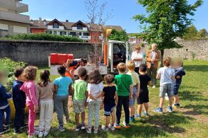 Biodiversità, il Lions dona un faggio alla scuola di Mur di Cadola