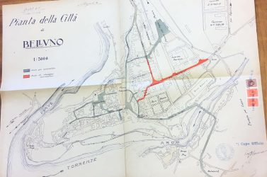 Verde e scontro in città: dopo via Feltre esplode il caso viale Fantuzzi