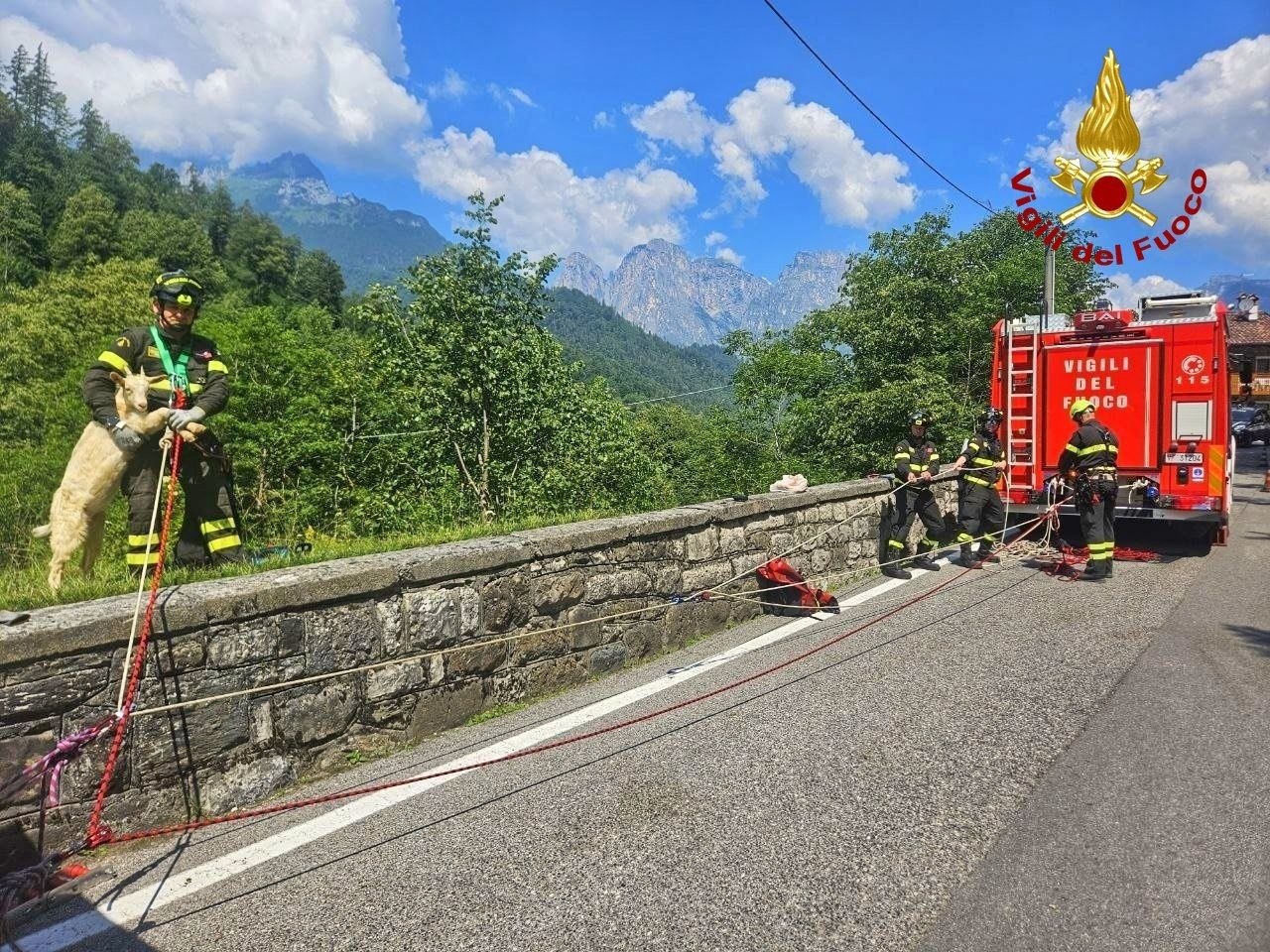 https://www.newsinquota.it/wp-content/uploads/2026/06/recupero-capretto-vvff.jpg