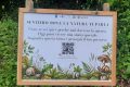 Tambre, gli studenti inaugurano il sentiero ‘Dove la natura ti parla