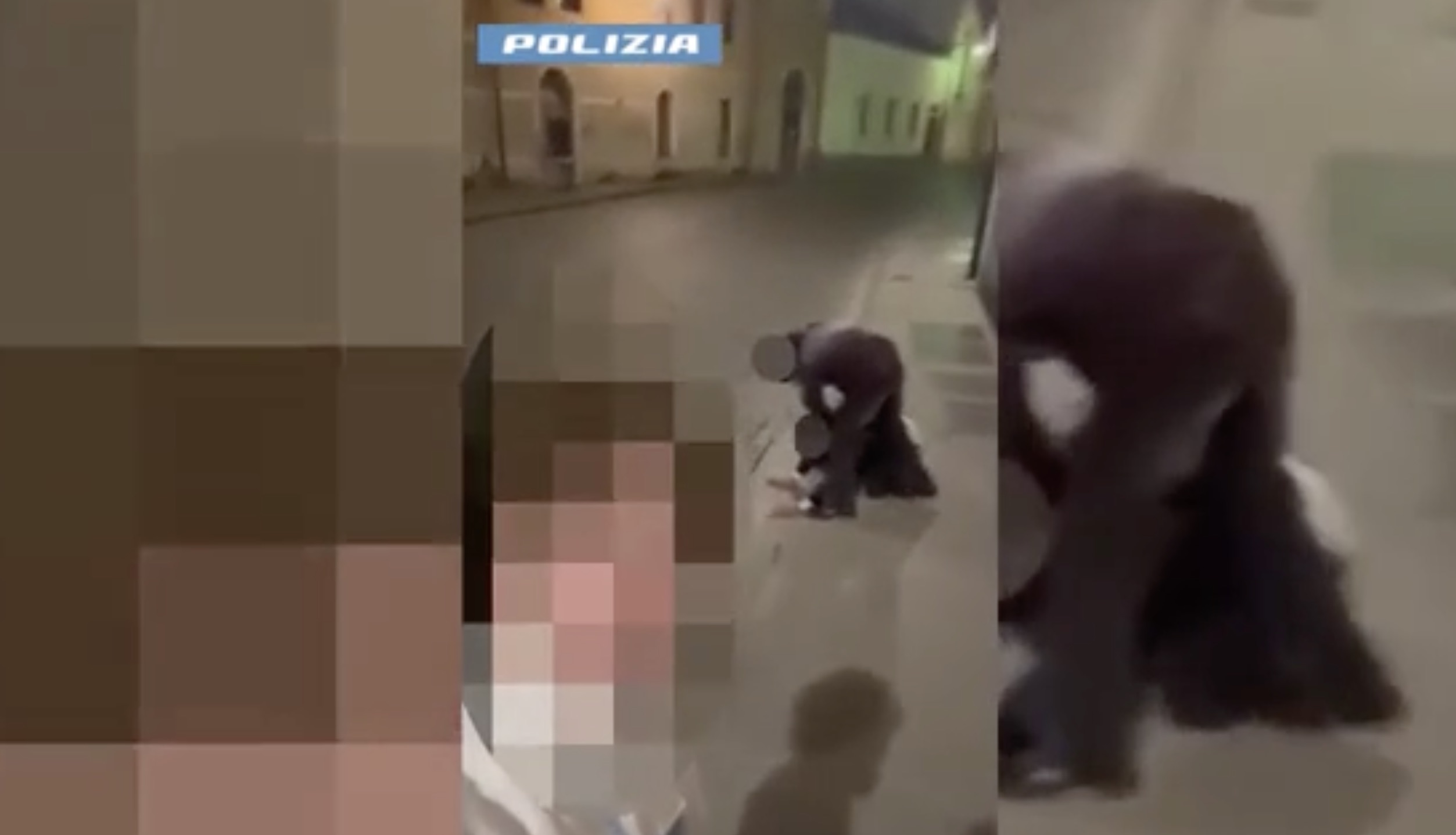https://www.newsinquota.it/wp-content/uploads/2026/06/video-pestaggio.jpeg