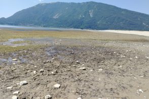Lago di Santa Croce, la Regione convoca un tavolo: «Strategia condivisa sull’acqua»