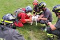 Cani bloccati sul costone, madre e cucciolo salvati dall’elicottero