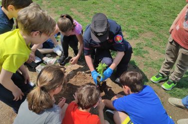 Oltre 1.700 studenti in campo per l’ambiente: 650 nuovi alberi piantati con i Carabinieri