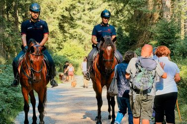 Carabinieri Forestali a cavallo: pattugliamenti intensificati per Ferragosto