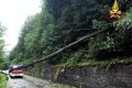 Maltempo in Cadore, numerosi interventi dei Vigili del Fuoco