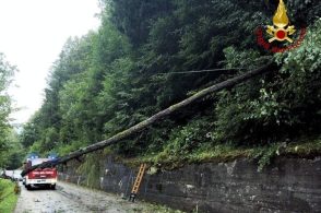 Maltempo in Cadore, numerosi interventi dei Vigili del Fuoco
