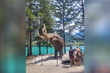 Auronzo, la mostra sulla preistoria conferma il successo: già 2.800 visitatori al museo
