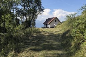 Visentin, puliti i sentieri della costa Ovest. «Ma serve il consorzio forestale»
