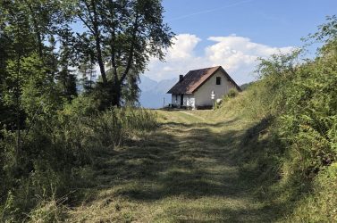Visentin, puliti i sentieri della costa Ovest. «Ma serve il consorzio forestale»
