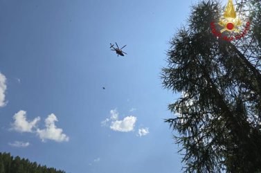 Comelico Superiore, due vitelli caduti in un dirupo salvati dai pompieri