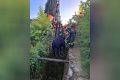 Seren del Grappa, toro finisce in una vasca: recuperato dai Vigili del Fuoco