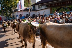 Desmontegada, ritorno da record: 5 mila persone in festa per gli allevatori