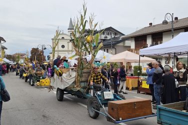 Limana torna Paese del Miele: 160 espositori e record di mieli in gara